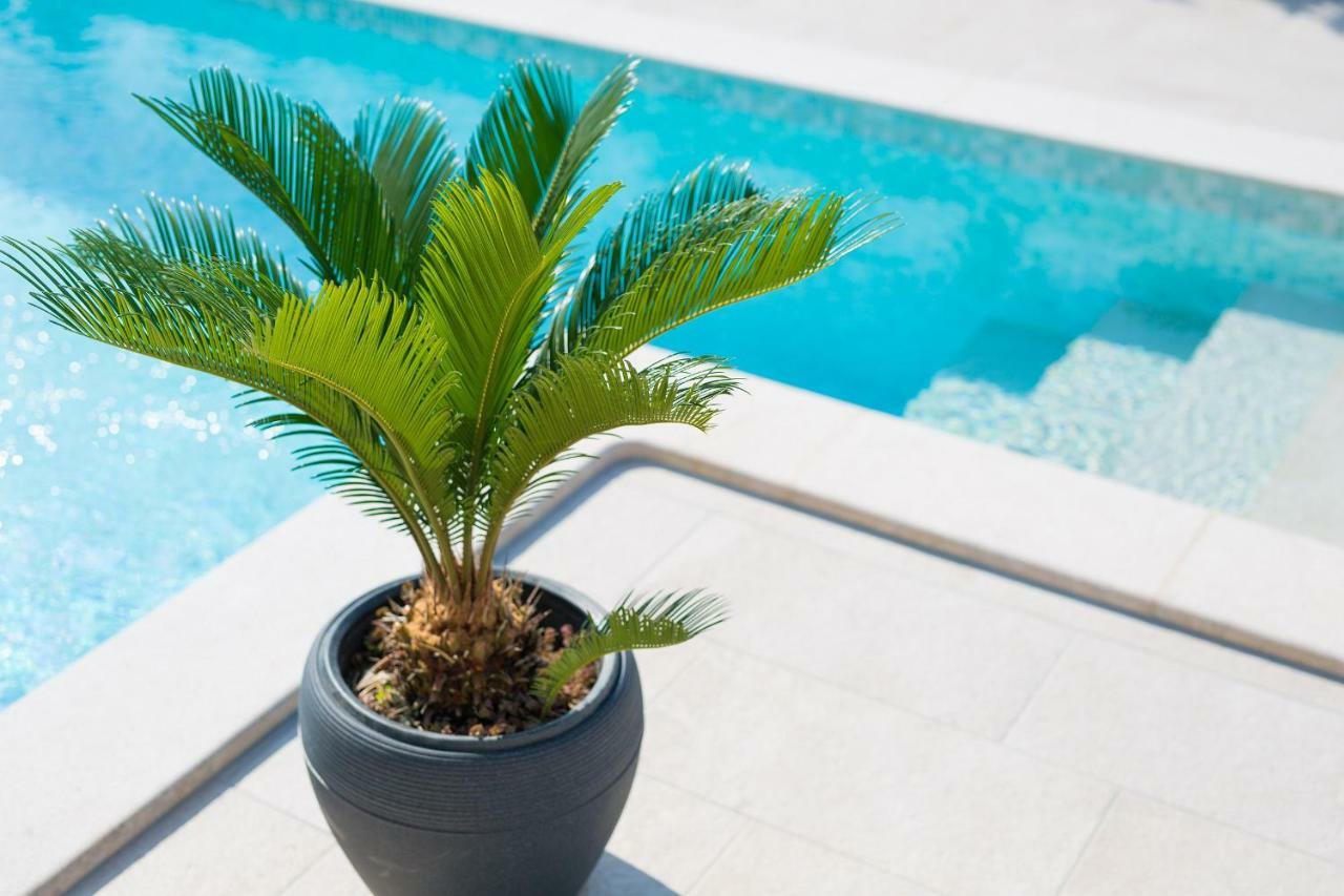 Holiday Home Elegant Vrh  Εξωτερικό φωτογραφία